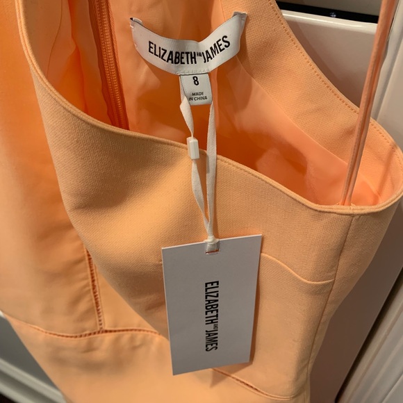 ELIZABETH AND JAMES DRESS SZ 8 NWT